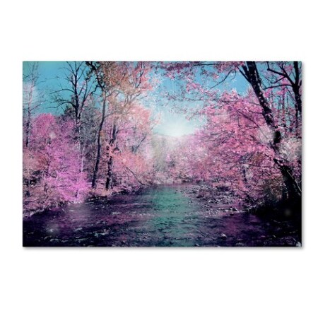 Trademark Fine Art Mark Ashkenazi '4' Canvas Art, 22x32 ALI7892-C2232GG
